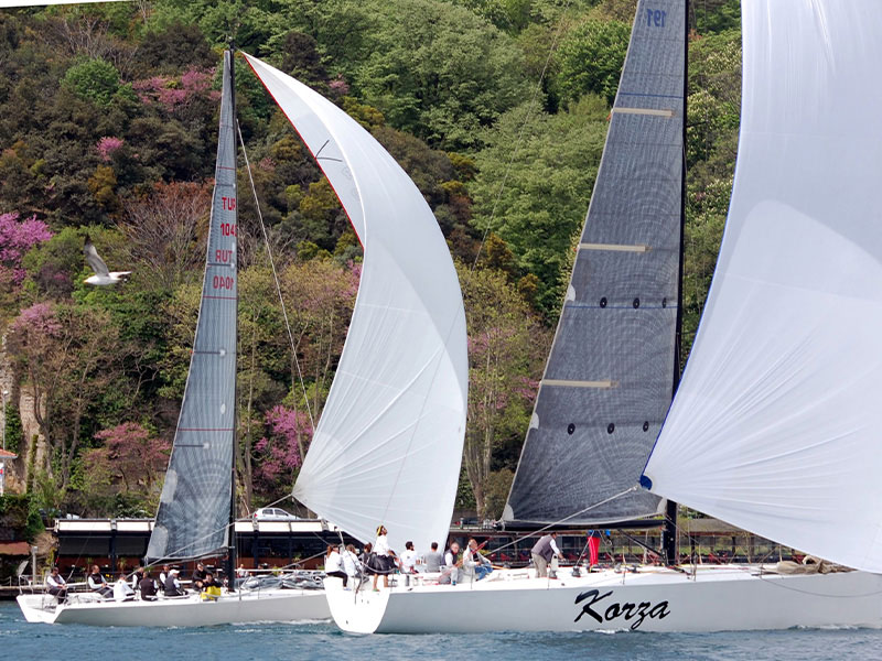 Bolt 37 2013-2014 – Valkyrien Bolt 37 2013-2014 – Valkyrie